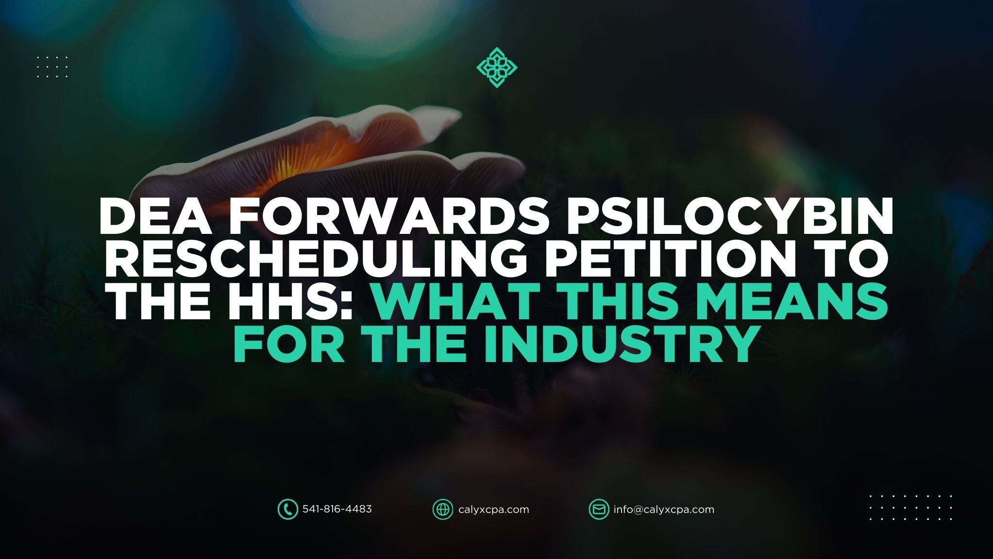 DEA Forwards Psilocybin Rescheduling Petition to the HHS: What This Means for the Industry