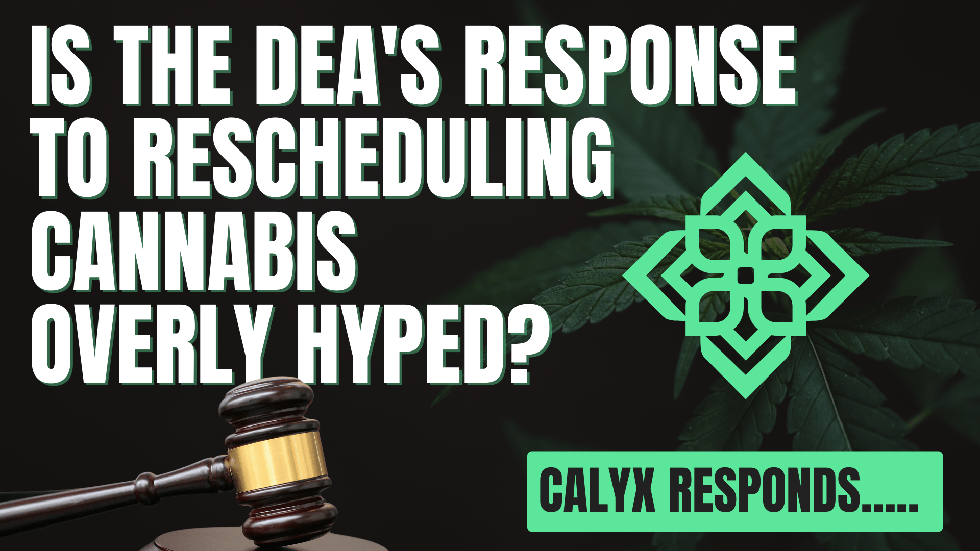 Is the DEA's Response to Rescheduling Cannabis Overly Hyped? Calyx Responds