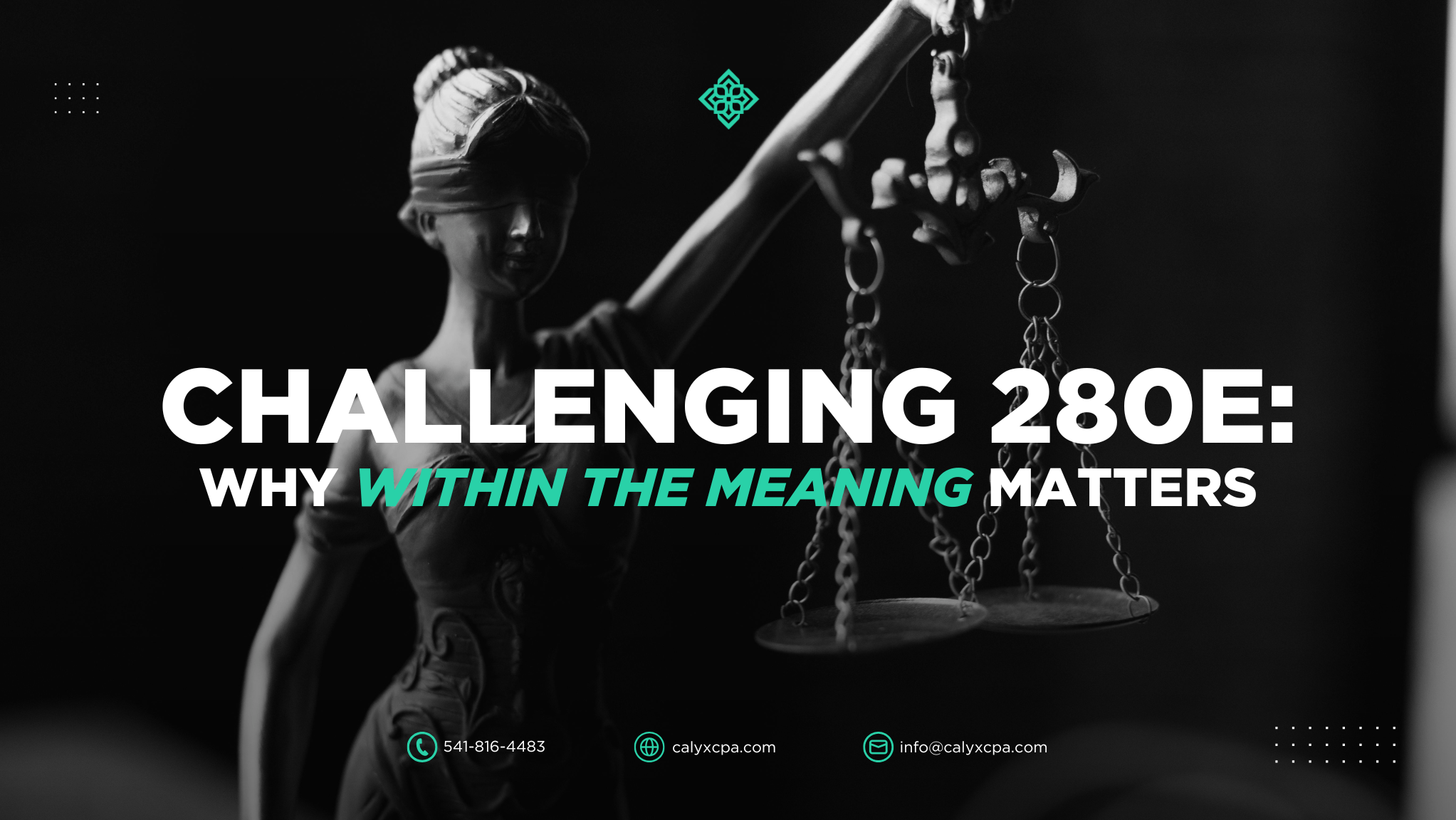 Challenging 280E: Why 'Within the Meaning' Matters